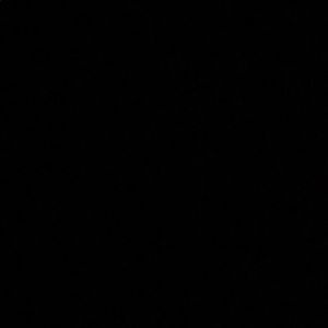 Meet your Posher, Noah